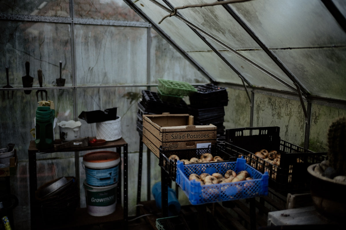 a room with a bunch of food inside of it
