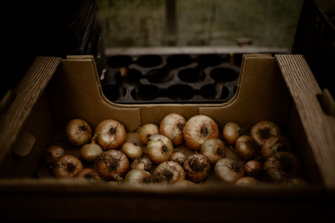 a box of donuts