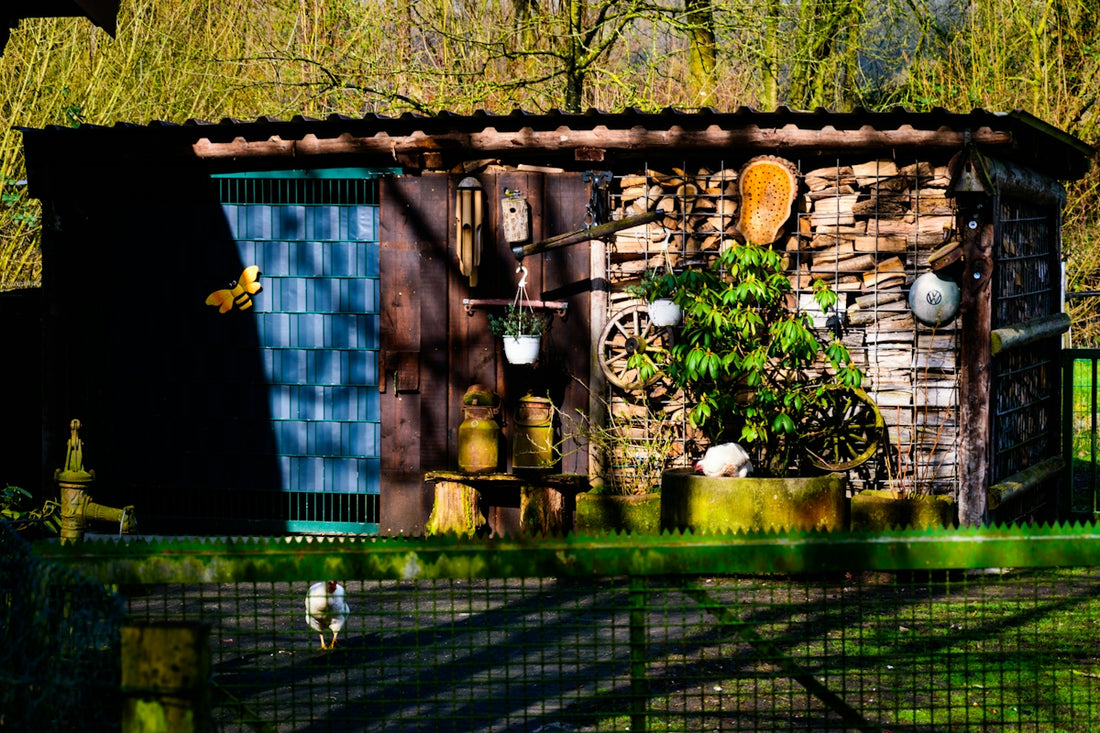 Rustic shed filled with gardening tools and plants