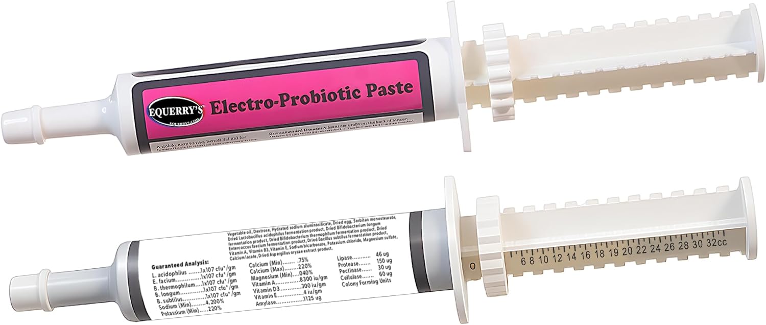 Equerry’s Electro-Probiotic Paste for Horses - 30g | Equine Probiotics & Electrolytes for Stressed Horses | Easy Oral Syringe | Made in USA