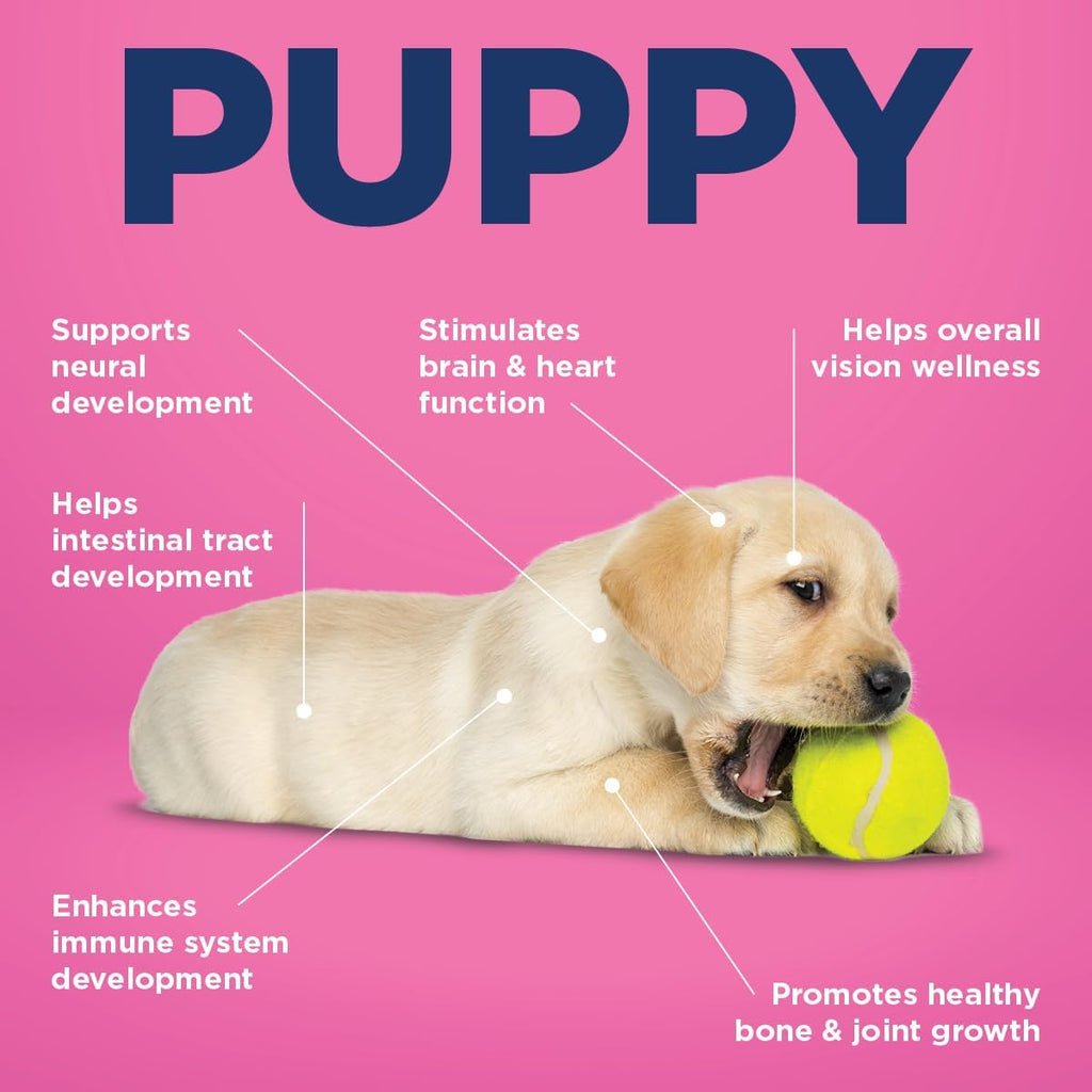 Vetericyn All-in 1 Multifunctional Puppy Supplement and FoamCare Spray-On Plant-Based Puppy Shampoo and Conditioner.