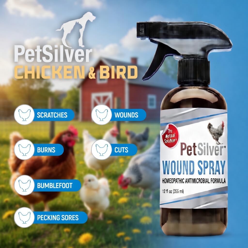 PetSilver Chicken Wound Spray for Chickens & Birds - Patented Silver Solution - Silver Spray for Wounds, Pecking Sores, Bumblefoot, Cuts, Burns, & Skin Irritations - Chicken Care - USA Made - 12 fl oz
