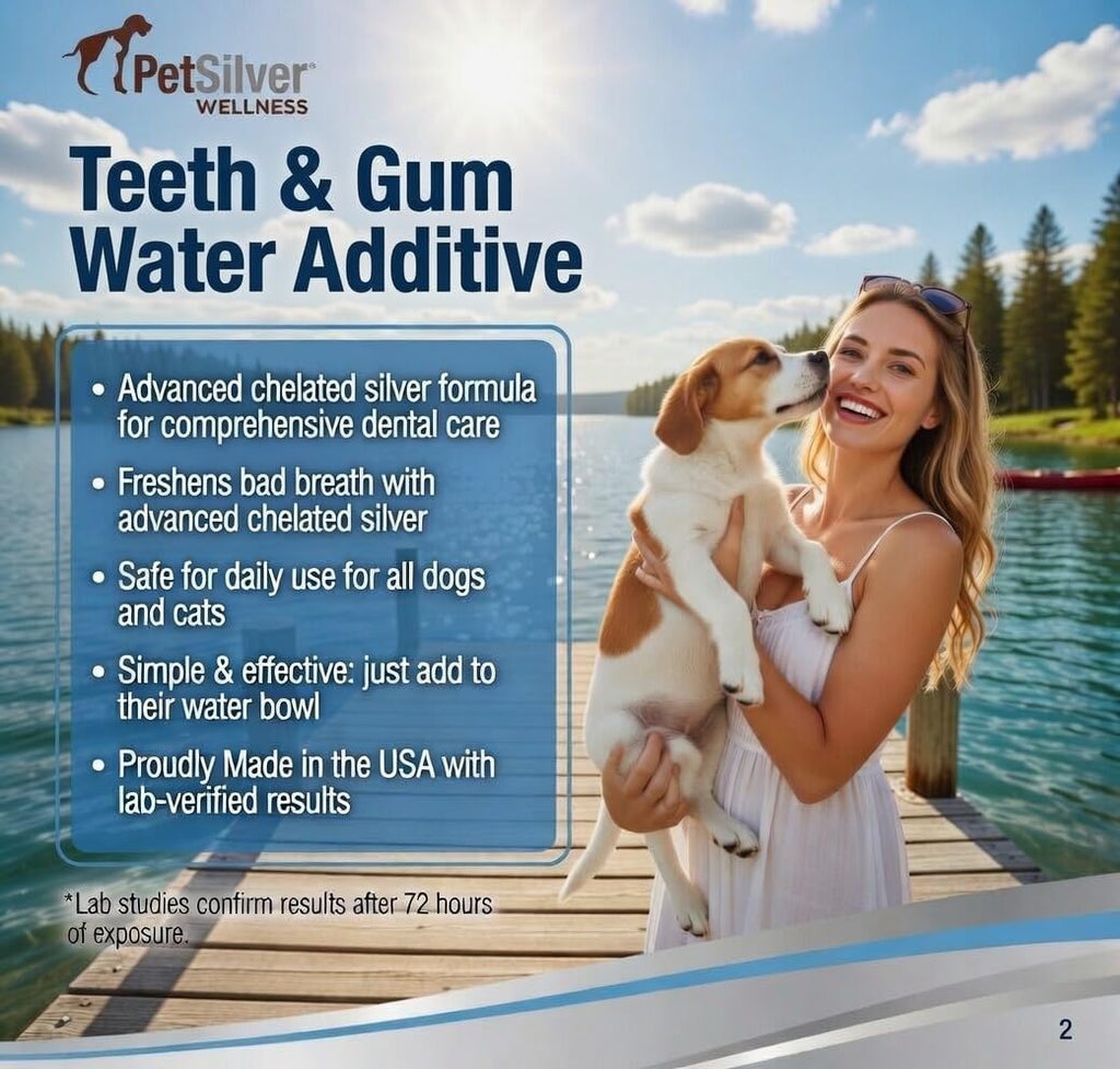 PetSilver Teeth & Gum Water Additive for Dental Care - Pet Breath Freshener - Targets Tartar, Plaque & Promotes Fresh Breath - Dog Oral Care & Cat Teeth Cleaning - No Brushing & Tasteless - 12 fl oz