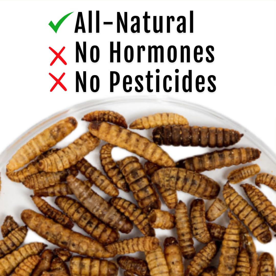 Buff Clucks Grub Fuel Black Soldier Fly Larvae for Chickens - Nutrient Packed BSFL, Sustainably Sourced Snack for Poultry, Rich in Protein, Calcium, Fiber, Essential Fatty Acids, USA Grown (5LB)