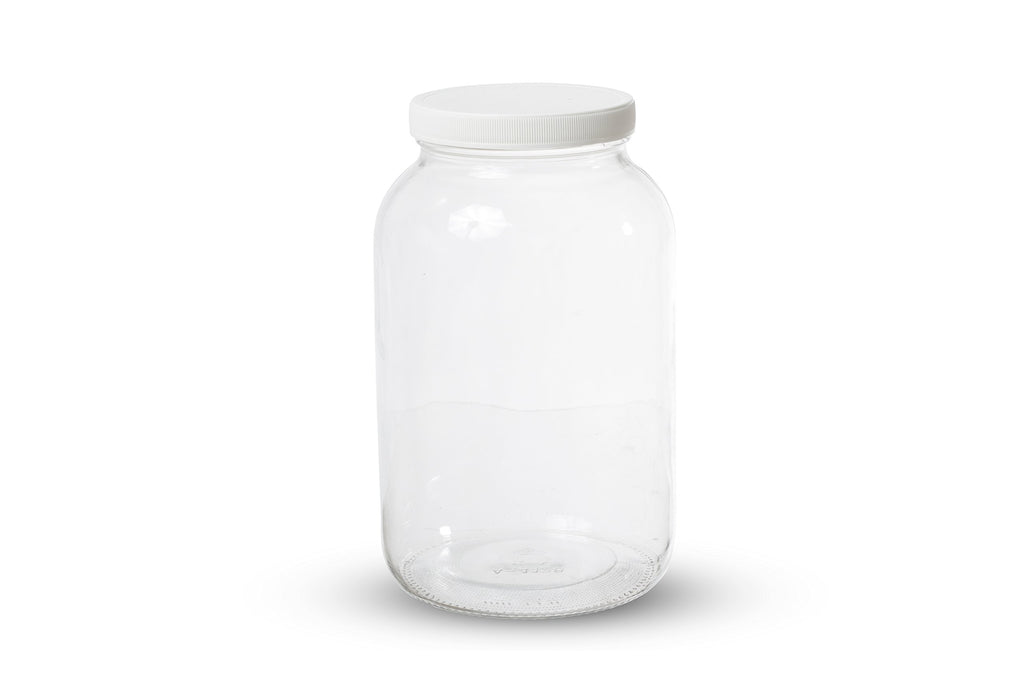 kitchentoolz 1 Gallon Glass Wide Mouth Kombucha Brewing Mason Jar - Home Brewing and Fermenting Kit with Cotton Cloth Filter, Rubber Band and Plastic Lid (1 Jar)