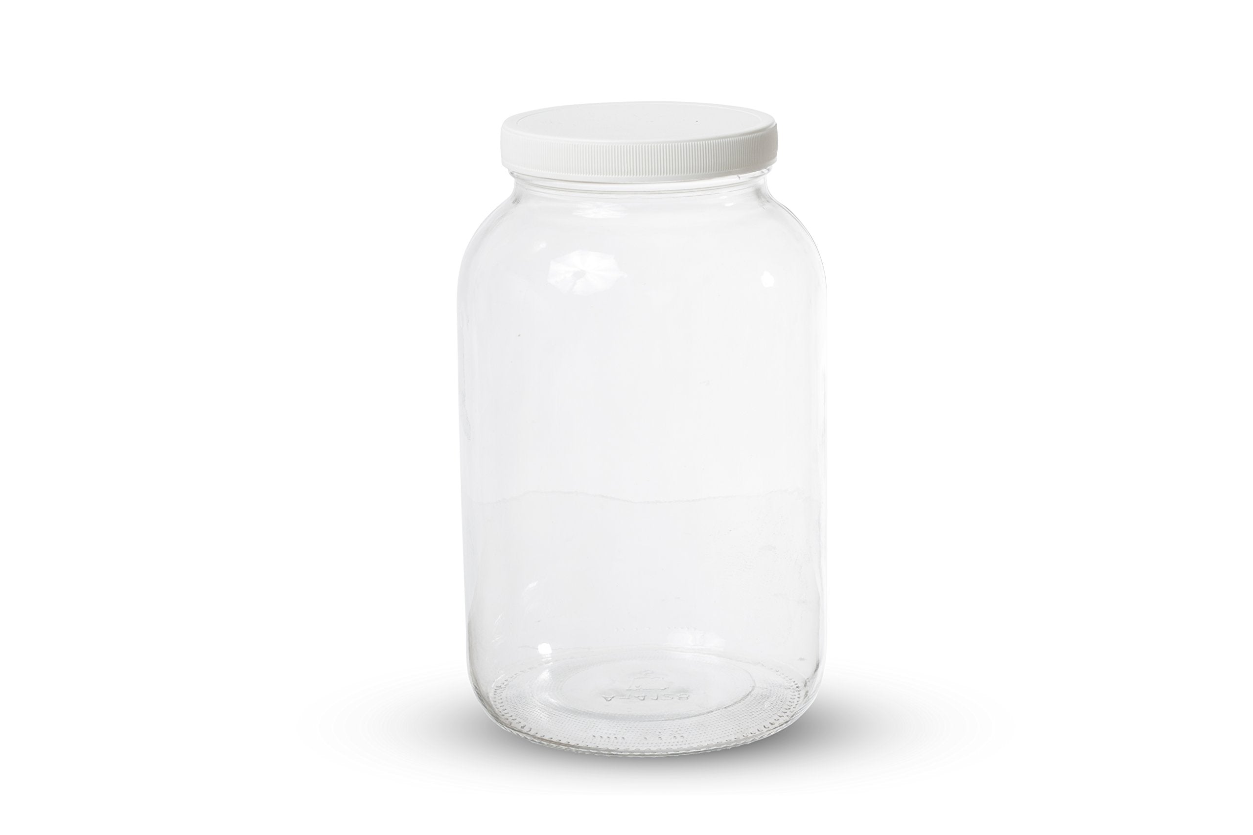 kitchentoolz 1 Gallon Glass Wide Mouth Kombucha Brewing Mason Jar - Home Brewing and Fermenting Kit with Cotton Cloth Filter, Rubber Band and Plastic Lid (1 Jar)