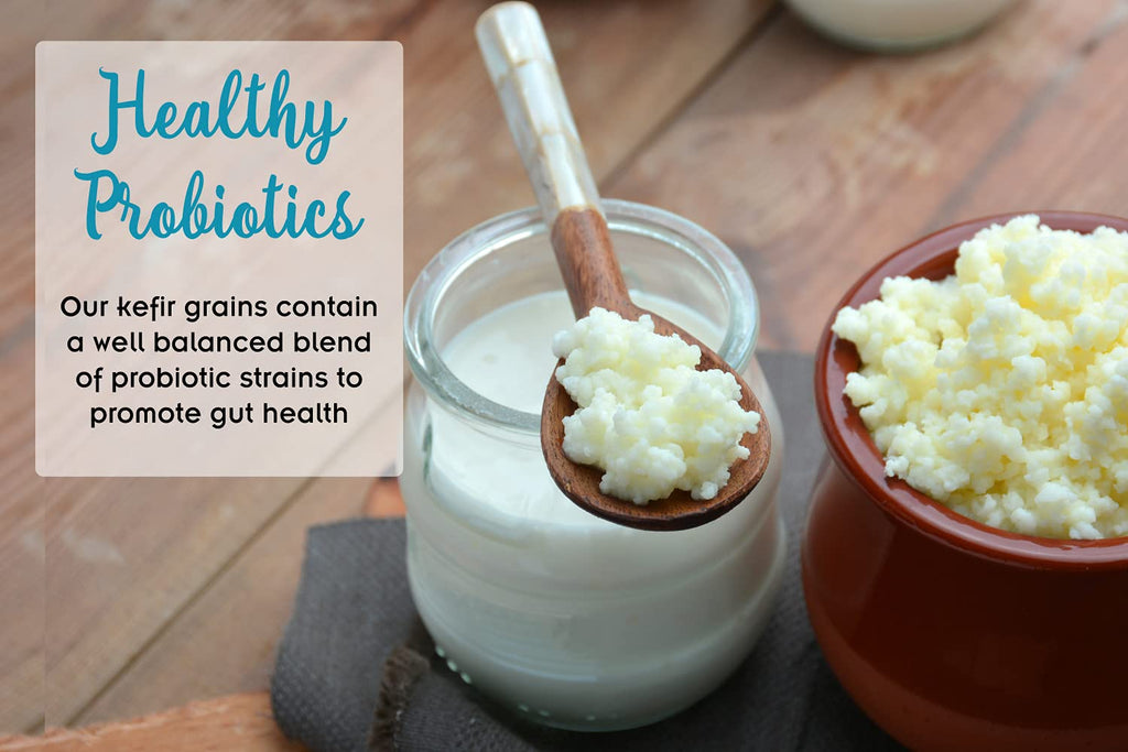 1 TBSP Milk Kefir Grains and eBook "Milk Kefir Unleashed by Thomas Egbert" - Fresh Live Active Probiotic Starter Cultures - Fusion Teas