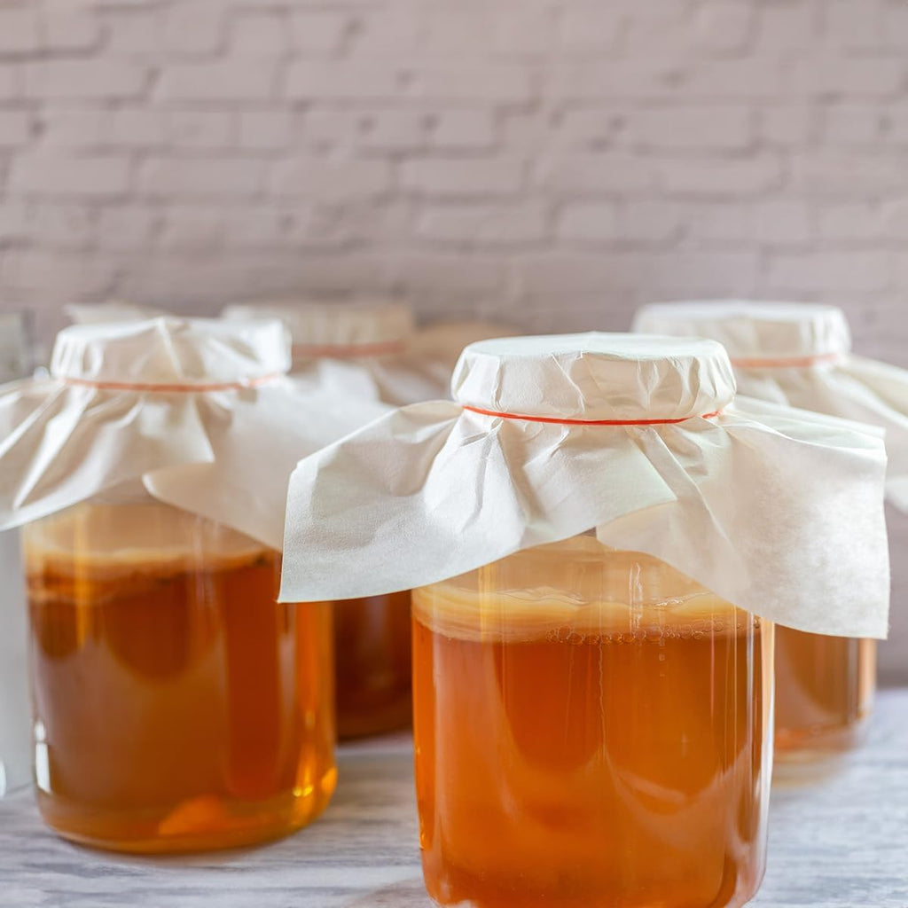 1 X Organic Kombucha Scoby - Live Culture by Scoby Kombucha