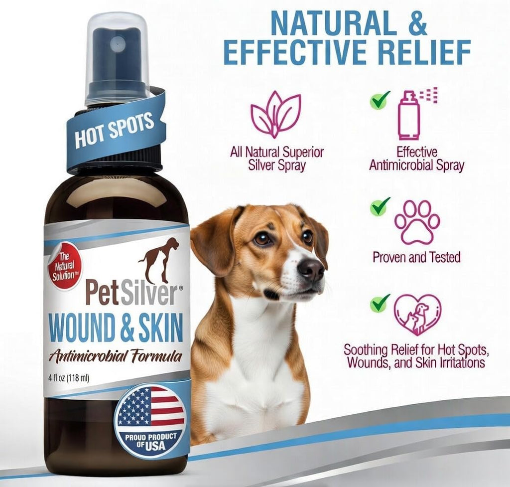 PetSilver Antibacterial Wound & Skin Spray | Dog Hot Spot Treatment & Cat Wound Spray | Chelated Silver Skin Soother for Rashes & Sores | Dog Wound Care & Itch Spray - 4 fl oz