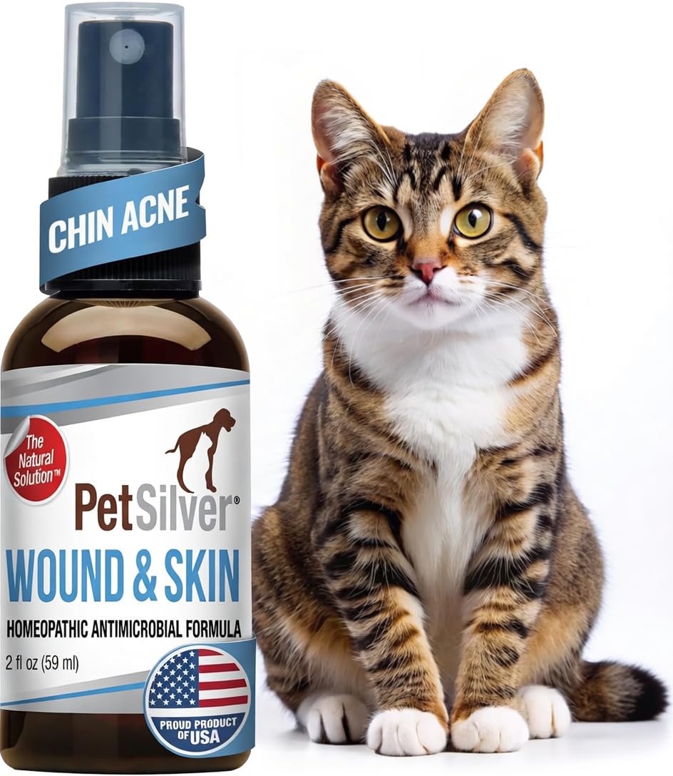 PetSilver Antibacterial Wound & Skin Spray | Dog Hot Spot Treatment & Cat Wound Spray | Chelated Silver Skin Soother for Rashes & Sores | Dog Wound Care & Itch Spray - 4 fl oz