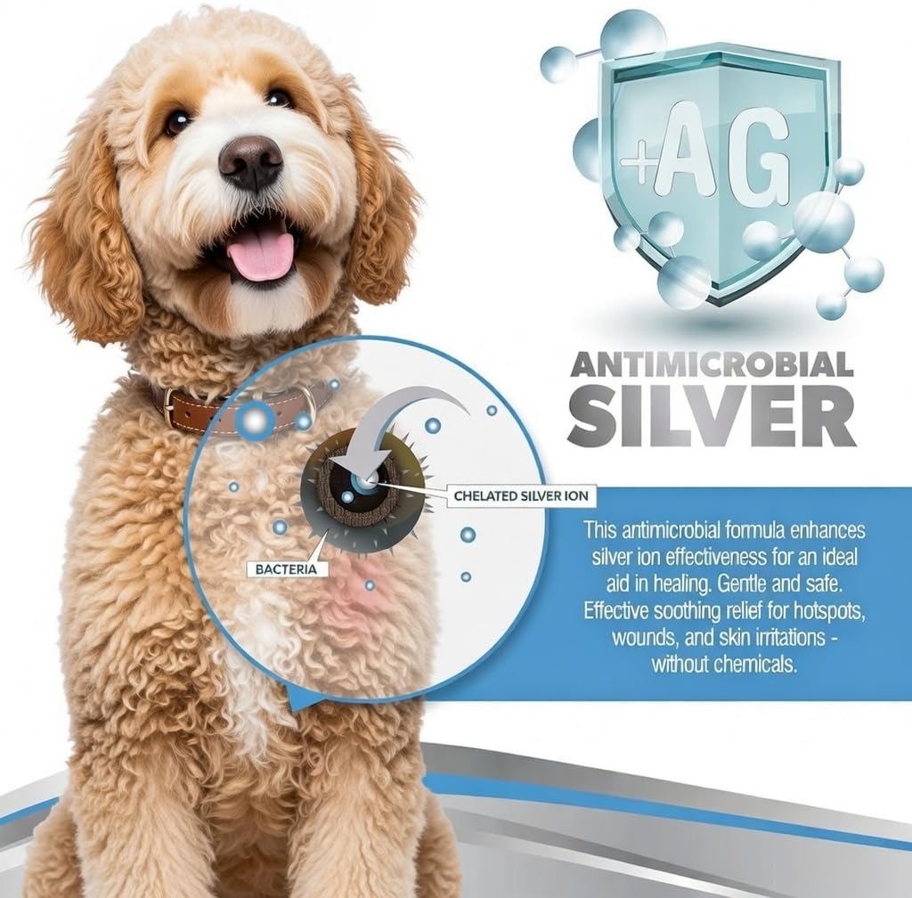 PetSilver Antibacterial Wound & Skin Spray | Dog Hot Spot Treatment & Cat Wound Spray | Chelated Silver Skin Soother for Rashes & Sores | Dog Wound Care & Itch Spray - 4 fl oz