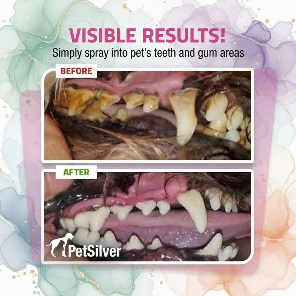 PetSilver Teeth & Gum Spray - Dog Dental & Teeth Cleaning Spray for Plaque & Tartar Build-Up Reduction - Natural Breath Freshener for Dogs and Cats - Patented Chelated Silver - Made in The USA - 4 oz
