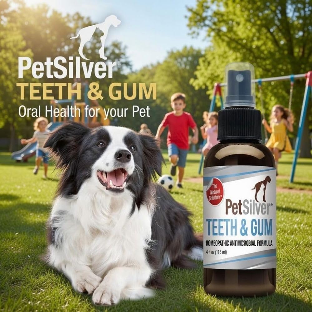 PetSilver Teeth & Gum Spray - Dog Dental & Teeth Cleaning Spray for Plaque & Tartar Build-Up Reduction - Natural Breath Freshener for Dogs and Cats - Patented Chelated Silver - Made in The USA - 4 oz