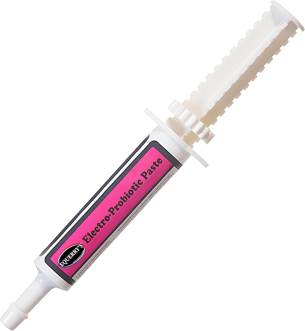 Equerry’s Electro-Probiotic Paste for Horses - 30g | Equine Probiotics & Electrolytes for Stressed Horses | Easy Oral Syringe | Made in USA