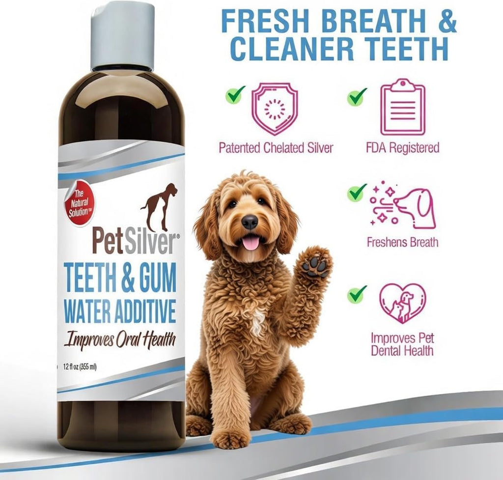 PetSilver Teeth & Gum Water Additive for Dental Care - Pet Breath Freshener - Targets Tartar, Plaque & Promotes Fresh Breath - Dog Oral Care & Cat Teeth Cleaning - No Brushing & Tasteless - 12 fl oz