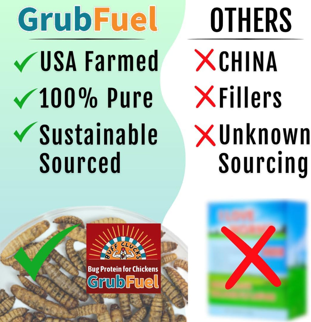 Buff Clucks Healthy Chickens Bundle - Herb Supplements for Backyard Chickens and Grub Fuel Black Soldier Fly Larvae - Nutrient Packed Chicken Treats, Poultry Feed
