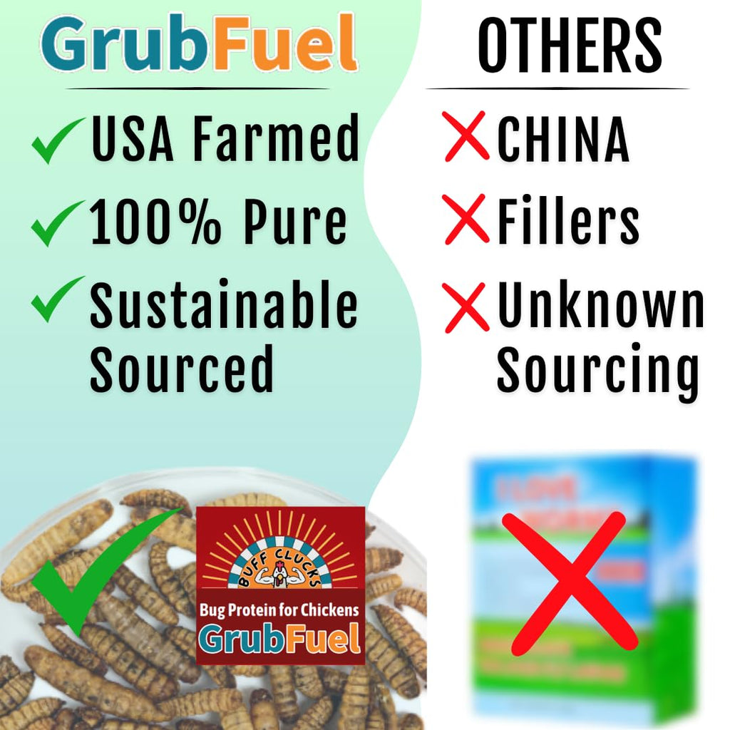 Buff Clucks Grub Fuel Black Soldier Fly Larvae for Chickens - Nutrient Packed BSFL, Sustainably Sourced Snack for Poultry, Rich in Protein, Calcium, Fiber, Essential Fatty Acids, USA Grown (5LB)
