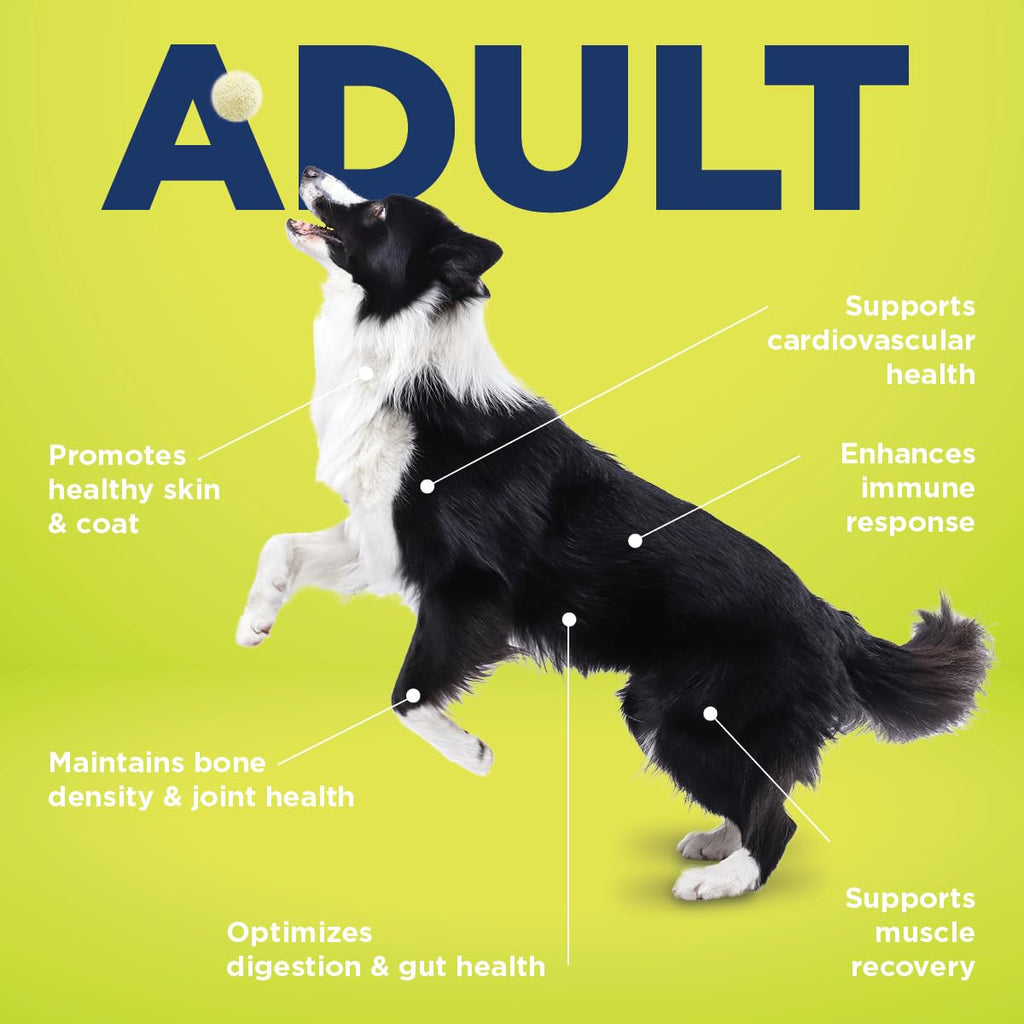Vetericyn All-in 1 Multifunctional Senior Dog Supplement | Digestive Enzymes + Glucosamine Chondroitin for Hip and Joint Support + Vitamins, Antioxidants, Prebiotics, Probiotics, and Omegas. 90 Count