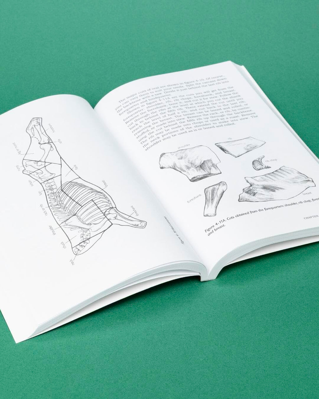 Basic Butchering of Livestock & Game: Beef, Veal, Pork, Lamb, Poultry, Rabbit, Venison