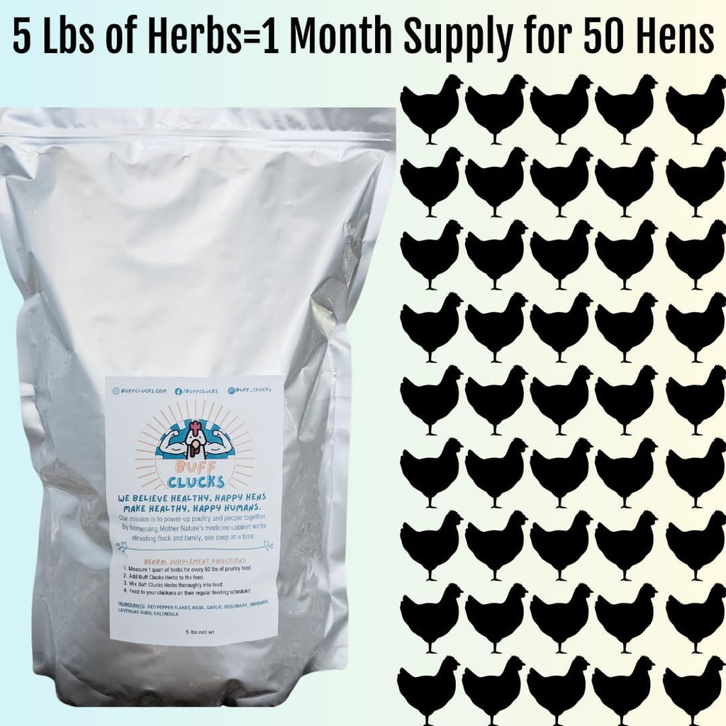 Buff Clucks Chicken Herb Supplement Mix – Large Bundle | Garden-Fresh Botanical Treat & Nesting Box Topper for Backyard Chickens, Ducks & Quail | Aromatic Oregano, Calendula, Basil, Lavender