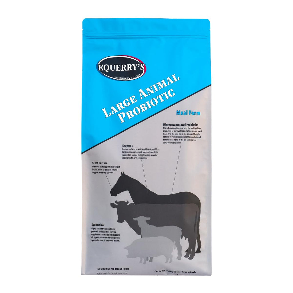 Equerry's Large Animal Probiotic | Supplements for Gut Health and Nutrient Absorption | Probiotics and Digestive enzymes for Horses, Cows, Goats, Sheep, Pigs, 160 Feedings (20lbs) for 1000 lb Animal