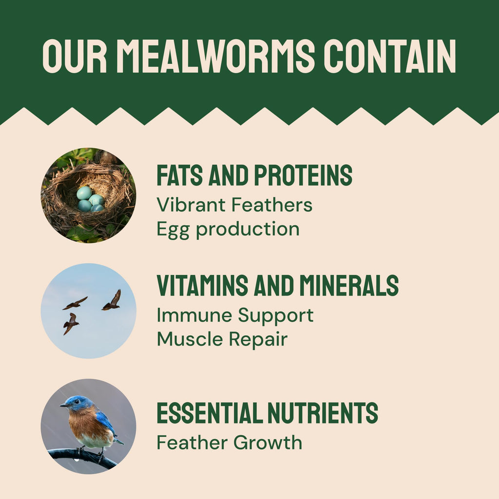Hatortempt Bulk Dried Mealworms - 10 Lb Bag - Dried Mealworms for Chickens, Ducks & Wild Birds - High-Protein Chicken Feed & Bird Food