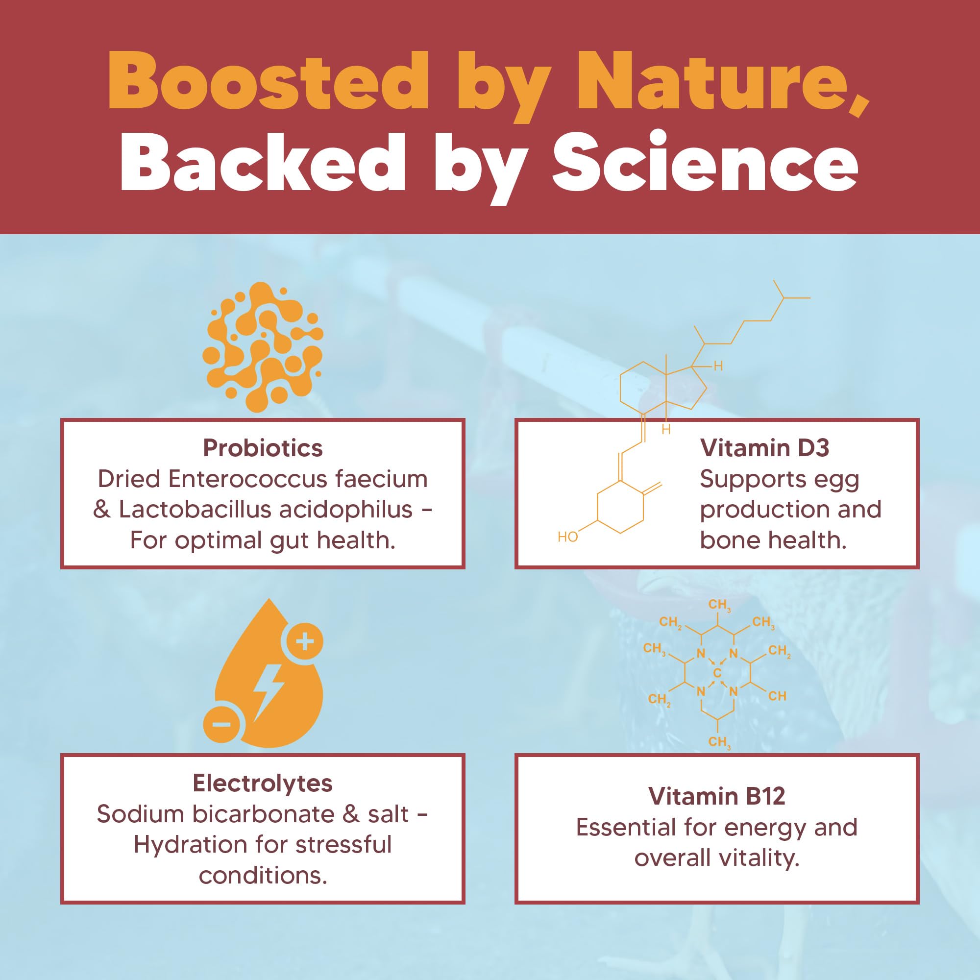 Hen Boost Probiotic - Probiotics, Vitamins, Minerals and Electrolytes for Chickens | Chicken Vitamins and Supplements for All Poultry - 3oz