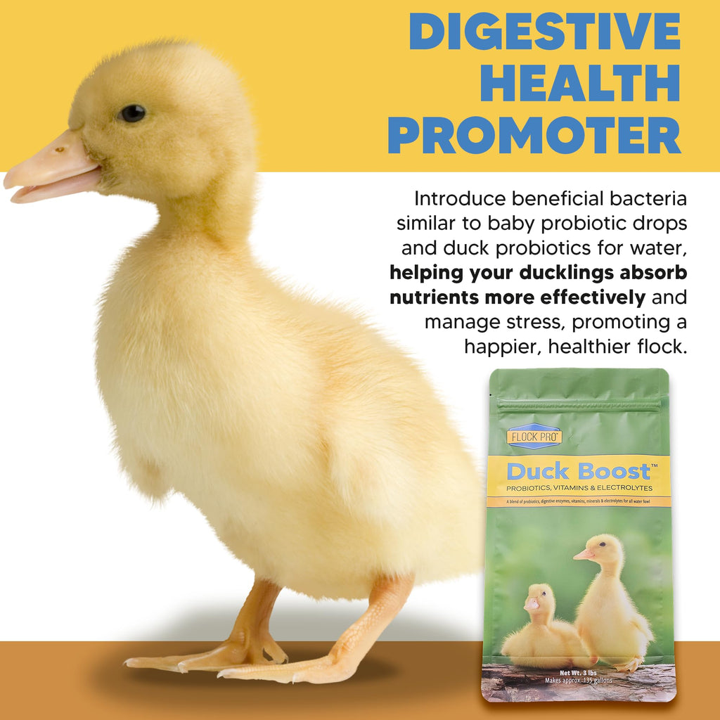 Duck Boost Probiotic - Probiotics, Vitamins, Minerals and Electrolytes for Chickens | Duck Vitamins and Supplements for All Poultry - 8oz