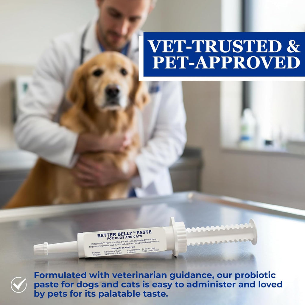 ProThrive Better Belly Probiotic Paste for Dogs & Cats | Probiotics, Digestive Enzymes & Yucca | Fast-Acting Relief for Digestive Upset & Diarrhea - 15gm