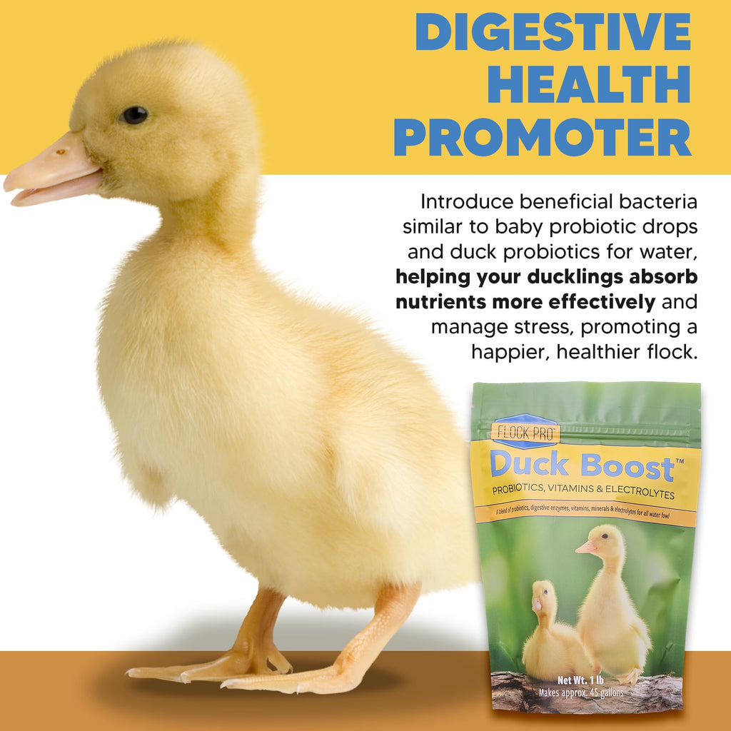 Duck Boost Probiotic - Probiotics, Vitamins, Minerals and Electrolytes for Chickens | Duck Vitamins and Supplements for All Poultry - 3oz