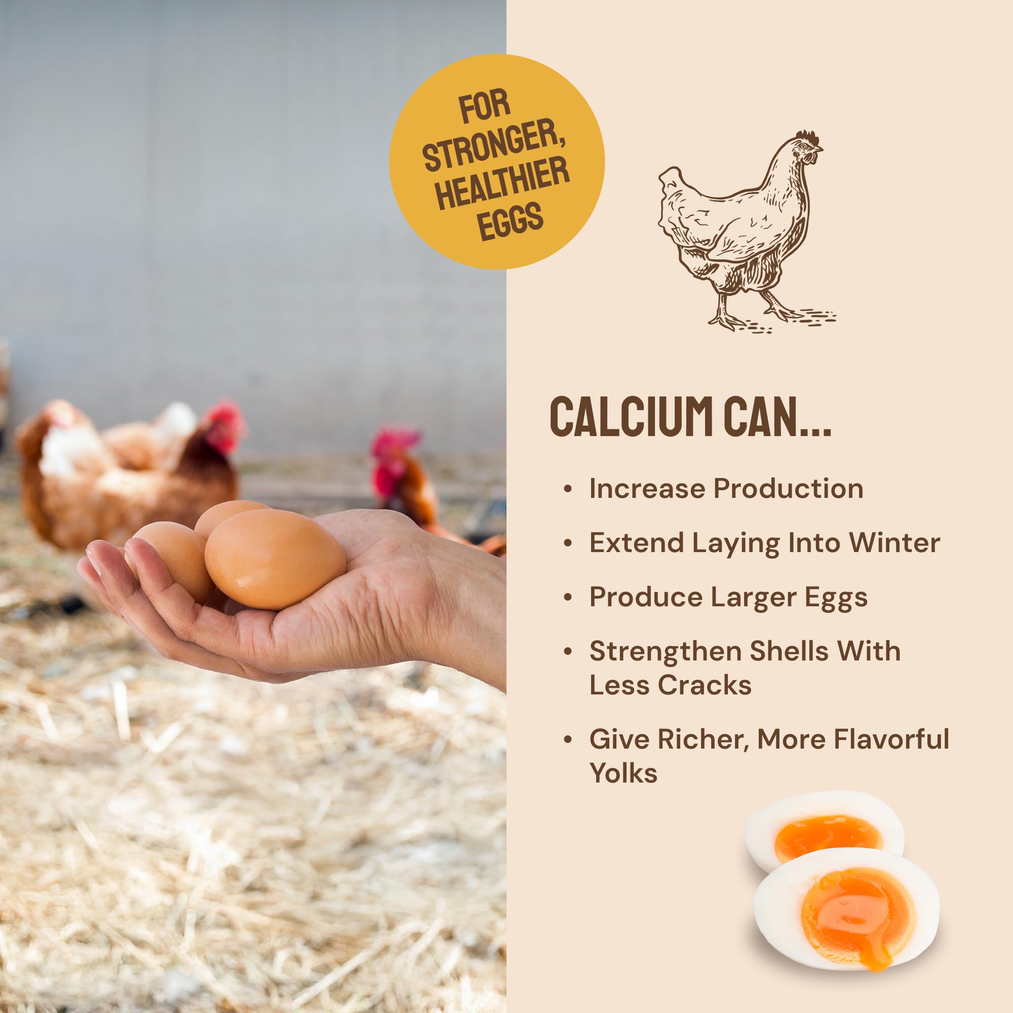Hatortempt Grubs & Grits Chicken Feed Supplement - 5lb - with Chicken Grit, Mealworms, Black Fly Larvae and Oyster Shells - 21% Protein and 15% Calcium