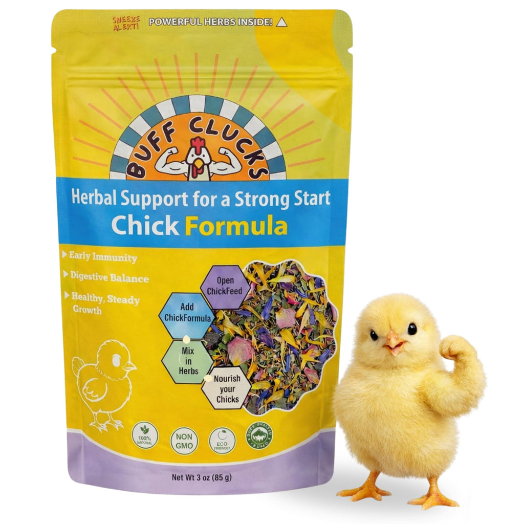 Buff Clucks Chick Formula Herbal Supplement for Baby Chicks – All-Natural Botanical Blend for Daily Wellness, Feather Quality – Plant-Based Herbs for Coop Snacks - Calendula, Oregano, Lemon Balm, USA