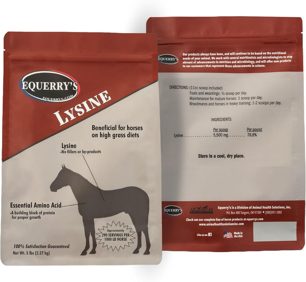Equerry's Lysine Supplement for Horses | Lysine Powder Supplement for Muscle Support and Immune Health | Balances Forage-Based Diets | 5Ib Bag