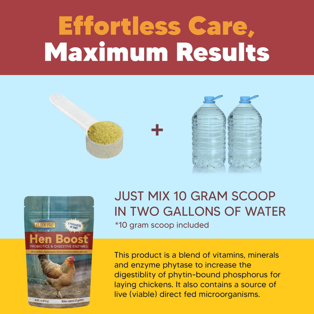 Hen Boost Probiotic - Probiotics, Vitamins, Minerals and Electrolytes for Chickens | Chicken Vitamins and Supplements for All Poultry - 3oz