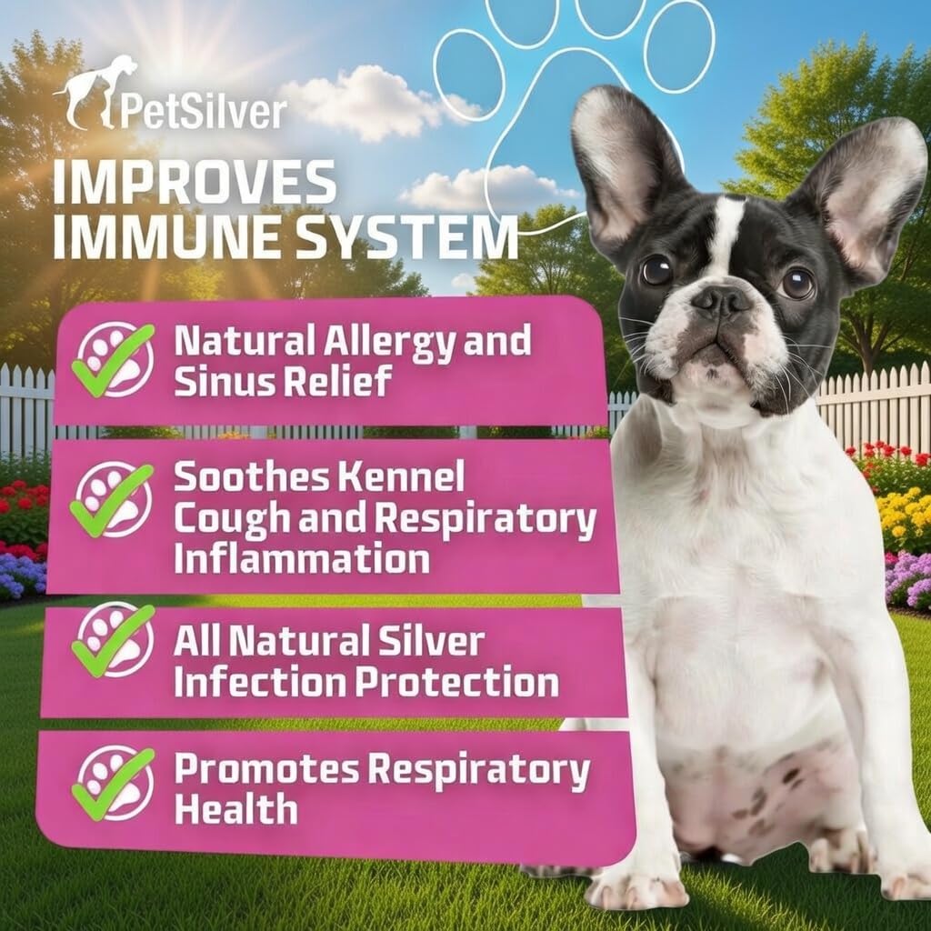 PetSilver Immune Support, Natural Nebulizer Solution, Promotes Respiratory Health in Cats & Dogs, Allergies, Sinus & Cough Treatment, Easy to Use, Patented Chelated Silver, Made in the USA, 16 fl oz