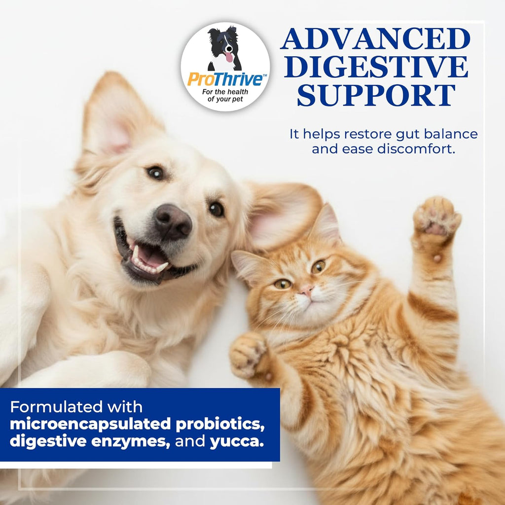 ProThrive Better Belly Probiotic Paste for Dogs & Cats | Probiotics, Digestive Enzymes & Yucca | Fast-Acting Relief for Digestive Upset & Diarrhea - 15gm