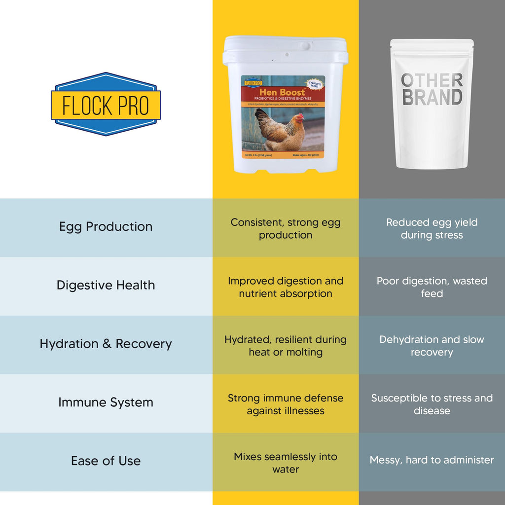 Flock PRO Hen Boost - Digestive Supplement for Hens | Chicken Vitamins and Supplements | Probiotics, Digestive Enzymes, Electrolytes for Adult Poultry-8 OZ