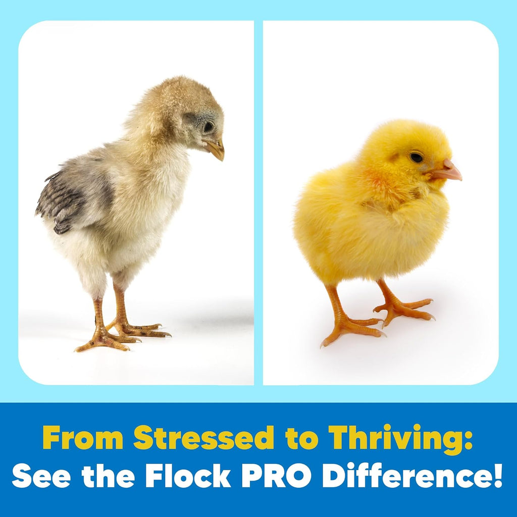 Chick Boost Probiotic - Probiotics, Vitamins, Minerals and Electrolytes for Chickens | Chicken Vitamins and Supplements for All Poultry - 3lb
