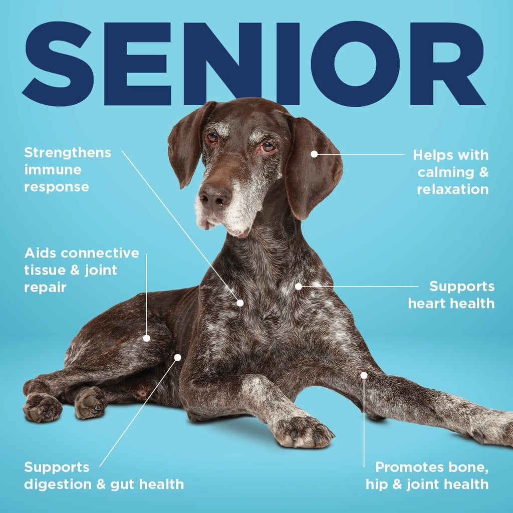 Vetericyn All-in 1 Multifunctional Senior Dog Supplement with Glucosamine and Vetericyn Plus Hot Spot Spray