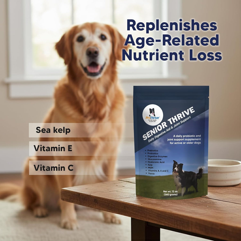 ProThrive Senior Dog Digestive & Joint Supplement - Supports Healthy Digestion, Immune System, and Joint Comfort for Aging Dogs, Advanced Relief - 12 Oz