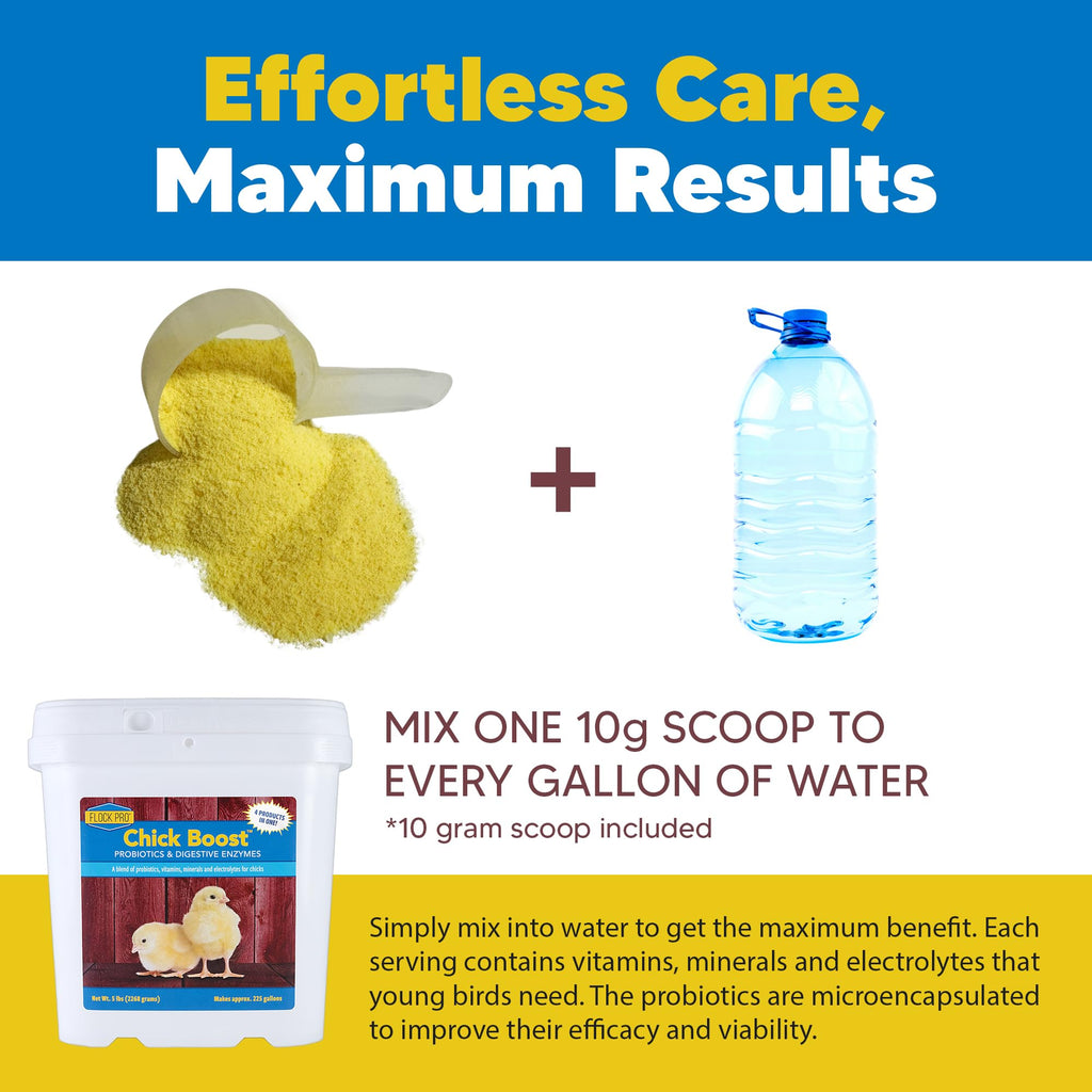 Equerry's Flock PRO Chick Boost Probiotic - Probiotics, Vitamins, Minerals and Electrolytes for Chickens | Chicken Vitamins and Supplements for All Poultry - 8oz