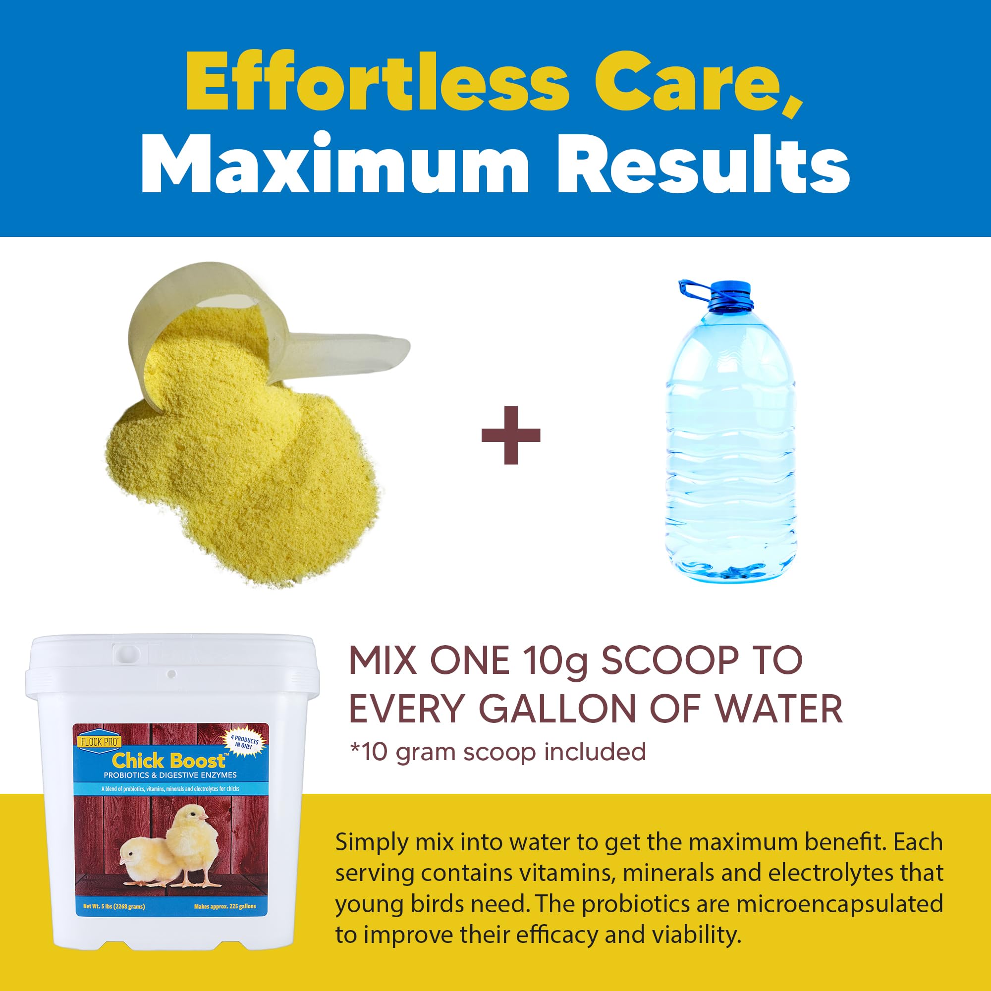 Equerry's Flock PRO Chick Boost Probiotic - Probiotics, Vitamins, Minerals and Electrolytes for Chickens | Chicken Vitamins and Supplements for All Poultry - 8oz