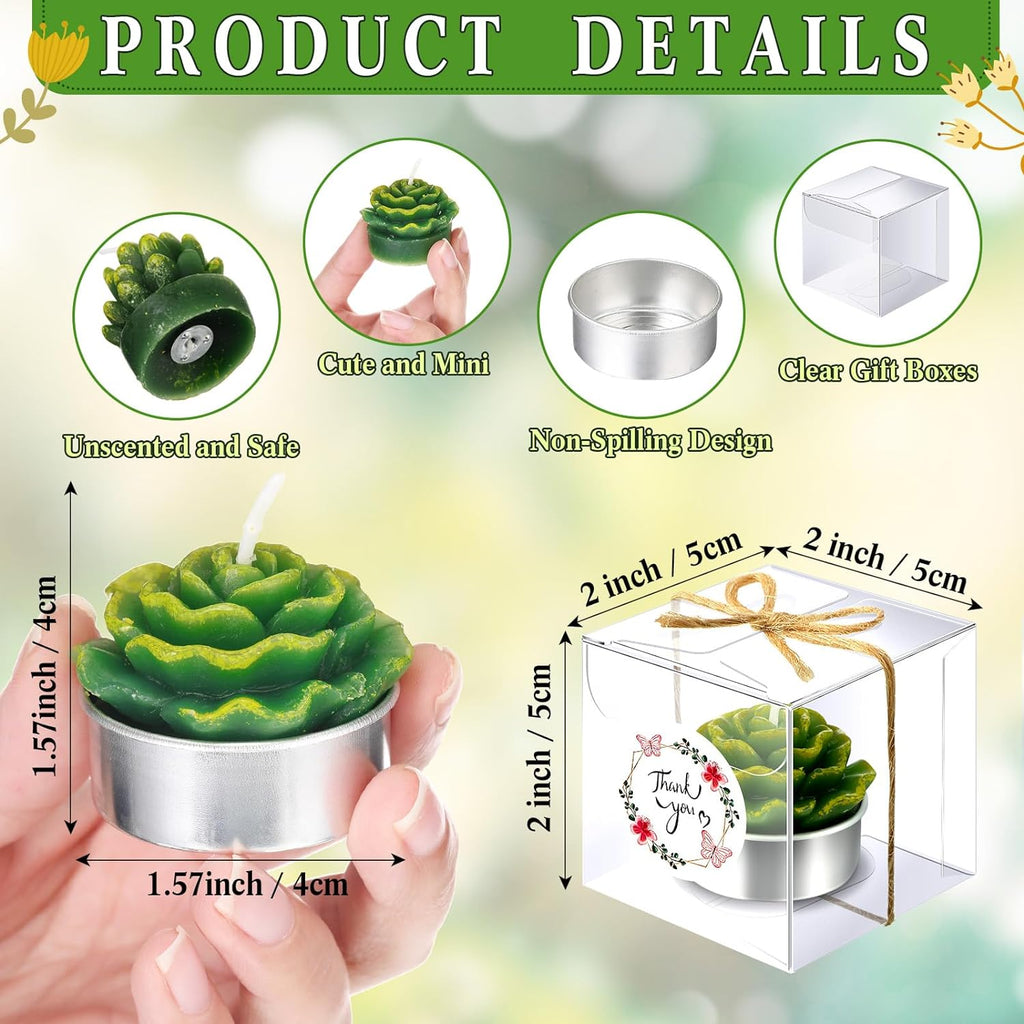 Qunclay 12 Sets Succulent Cactus Candle Party Favor Mini Succulent Tealight Candle Gift Smokeless for Wedding Graduation Birthday Party Anniversary Celebration Spa Home Decor
