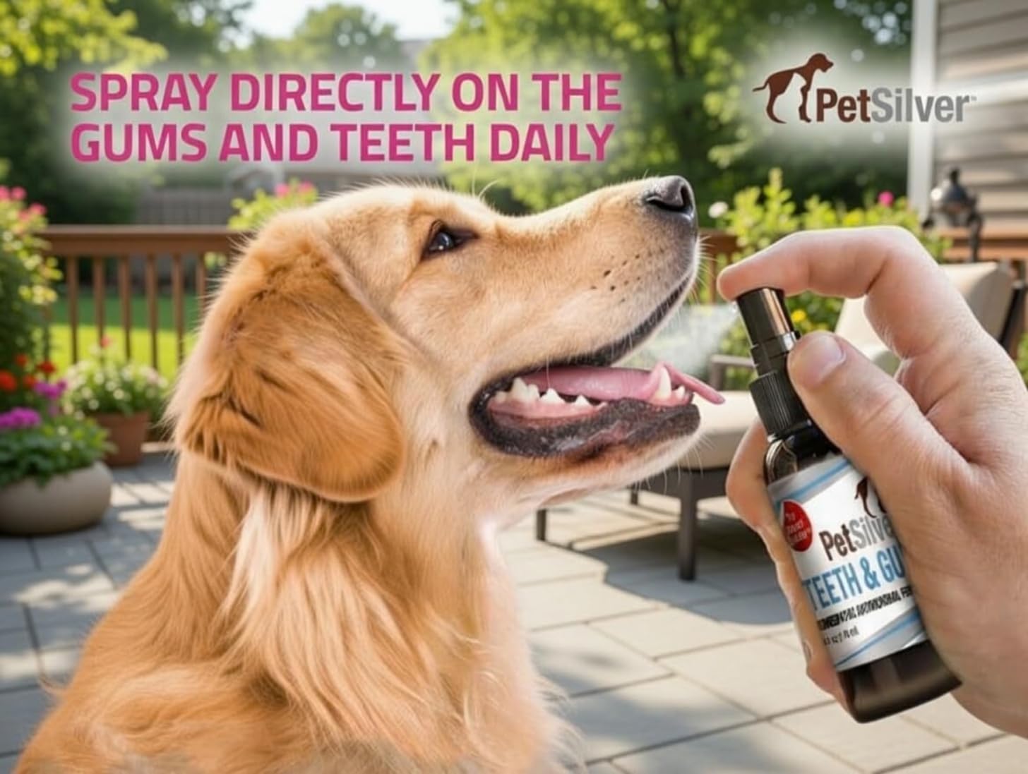 PetSilver Teeth & Gum Spray - Dog Dental & Teeth Cleaning Spray for Plaque & Tartar Build-Up Reduction - Natural Breath Freshener for Dogs and Cats - Patented Chelated Silver - Made in The USA - 4 oz