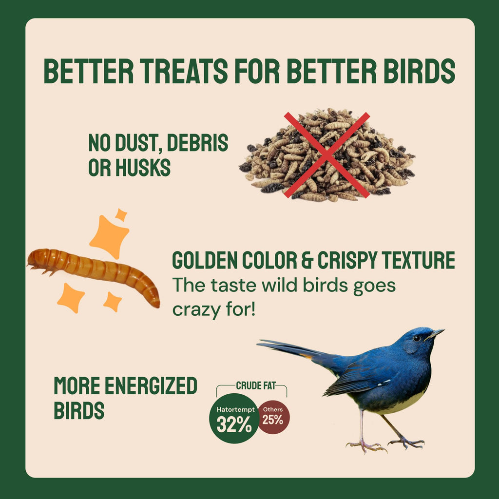 Hatortempt Bulk Dried Mealworms - 10 Lb Bag - Dried Mealworms for Chickens, Ducks & Wild Birds - High-Protein Chicken Feed & Bird Food