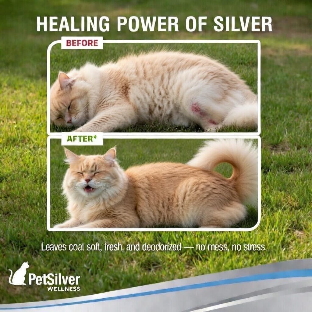PetSilver Waterless Cat Shampoo - No Rinse Bath & Dry Shampoo for Cats - Long-Haired & Sensitive Skin - Cleans, Conditions & Moisturizes - Hypoallergenic & Fragrance-Free - Patented Formula - 5 fl oz