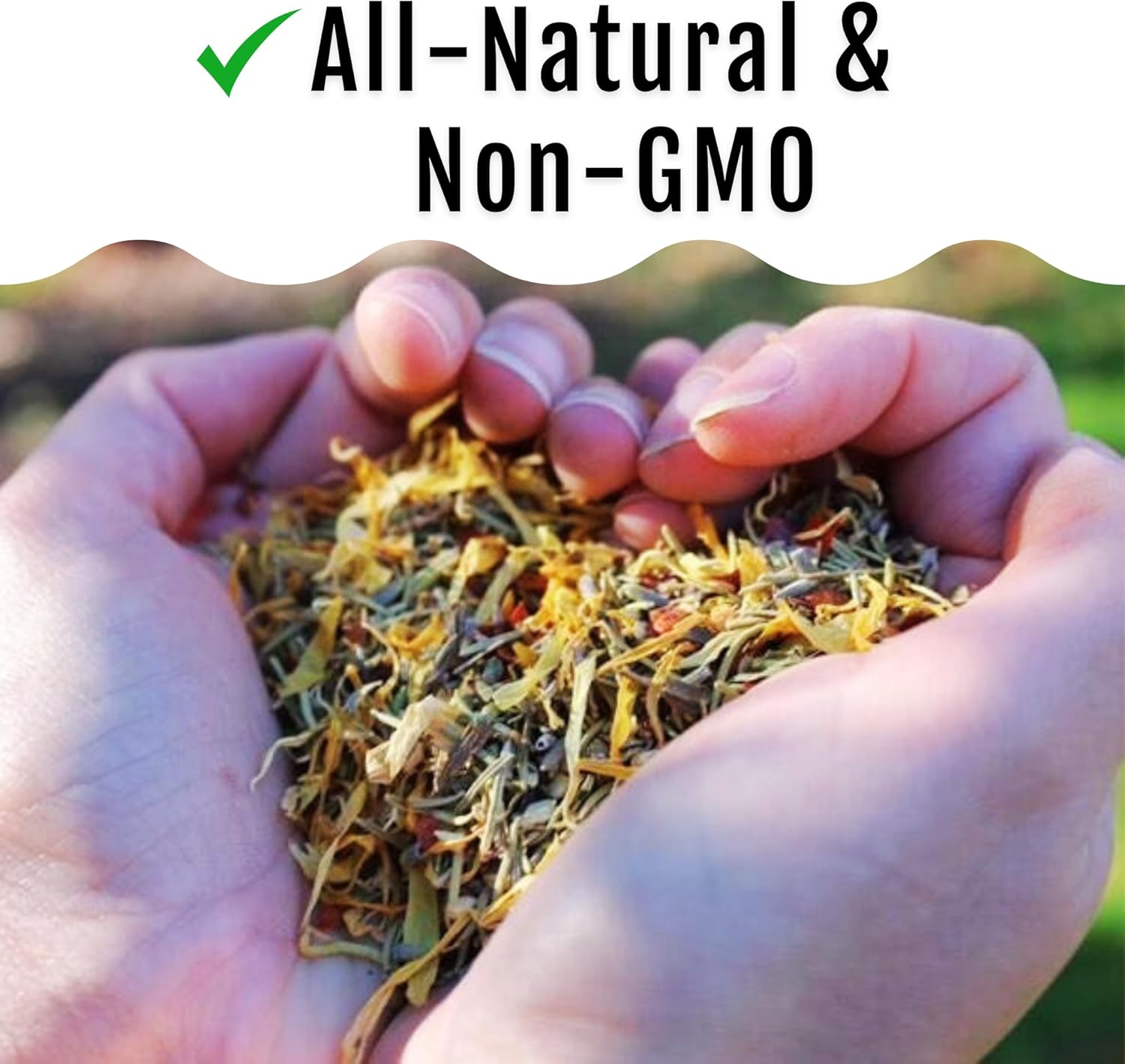 Buff Clucks Chicken Herb Supplement Mix – Large Bundle | Garden-Fresh Botanical Treat & Nesting Box Topper for Backyard Chickens, Ducks & Quail | Aromatic Oregano, Calendula, Basil, Lavender