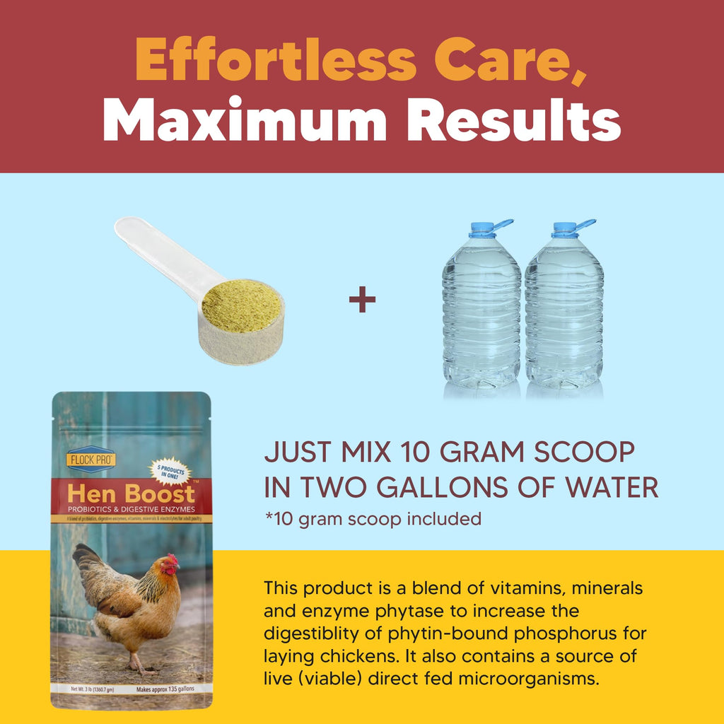 Hen Boost Probiotic - Probiotics, Vitamins, Minerals and Electrolytes for Chickens | Chicken Vitamins and Supplements for All Poultry - 3oz