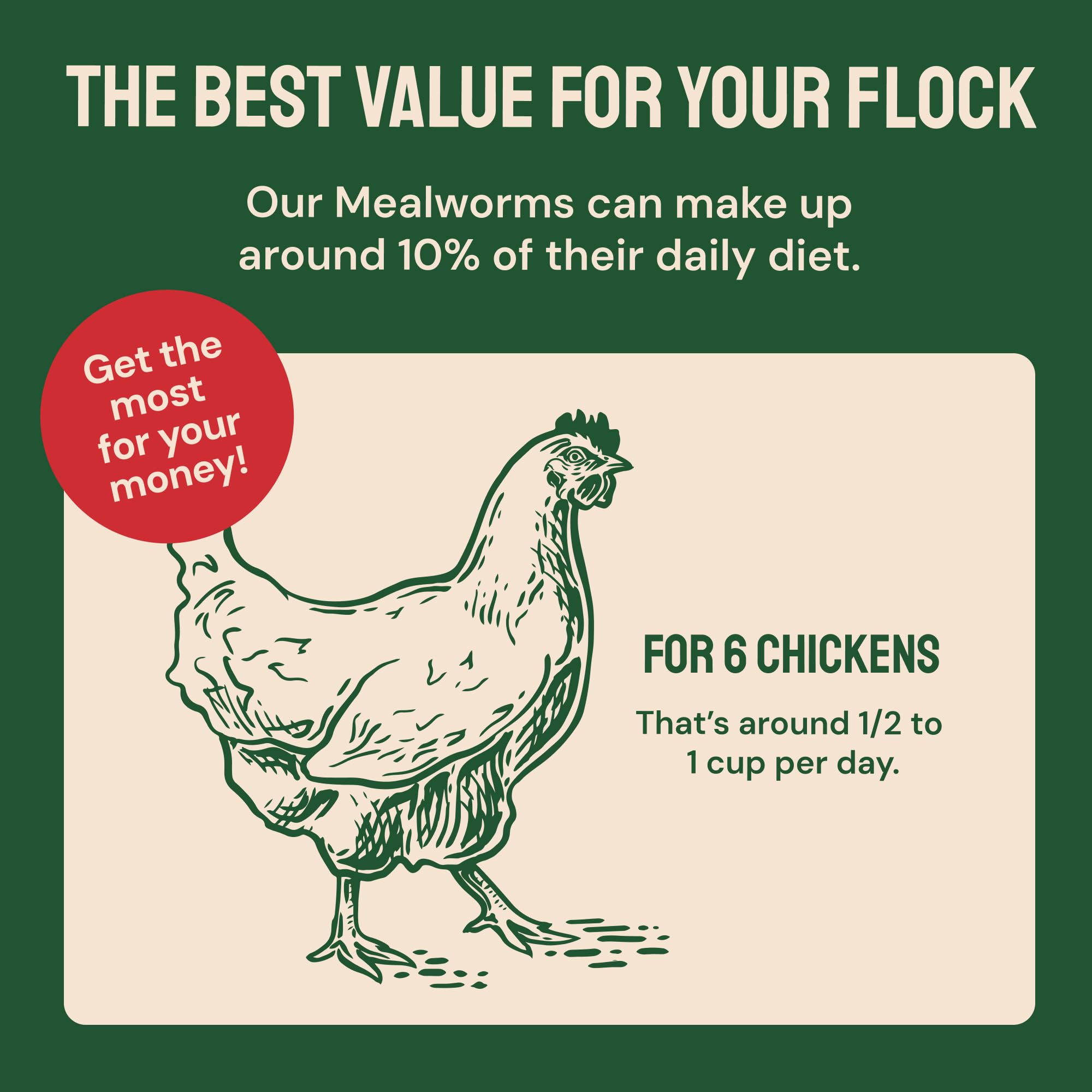 Hatortempt Bulk Dried Mealworms - 10 Lb Bag - Dried Mealworms for Chickens, Ducks & Wild Birds - High-Protein Chicken Feed & Bird Food