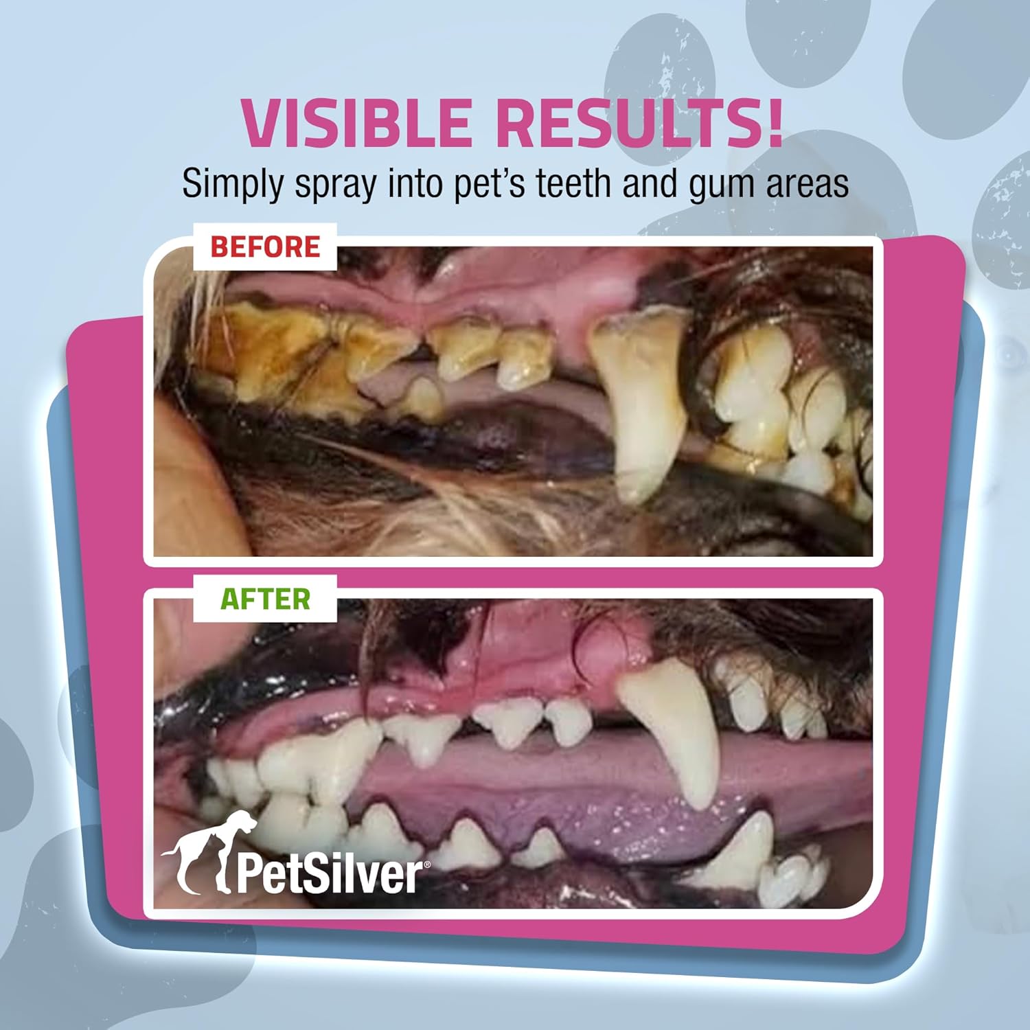 PetSilver - Wound & Skin Spray (4 fl oz) and Teeth & Gum Spray (4 fl oz) with Patented Chelated Silver - Wound, Hot Spot, & Itch Spray - Teeth Cleaner & Breath Freshener for Cats and Dogs - Made in US